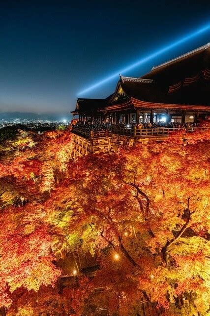 まるで燃えているみたい！ ライトアップで「限界突破」した秋の夜の清水寺 ライブドアニュース