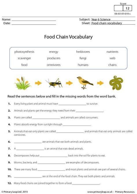 Food Chain Quiz Grade 6