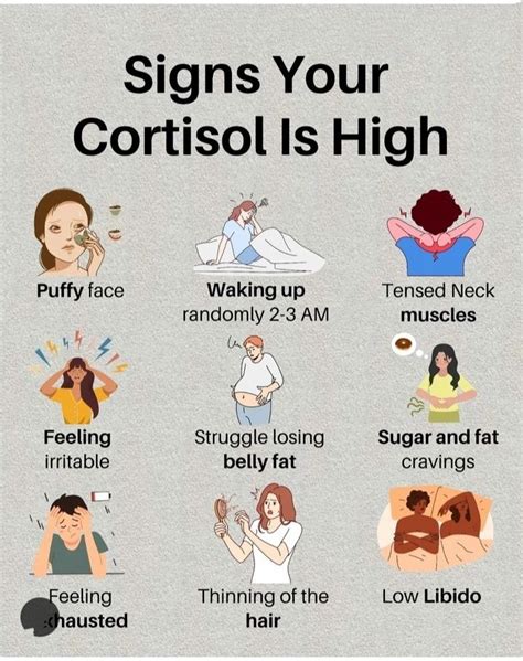 Signs Your Cortisol Is High In 2024