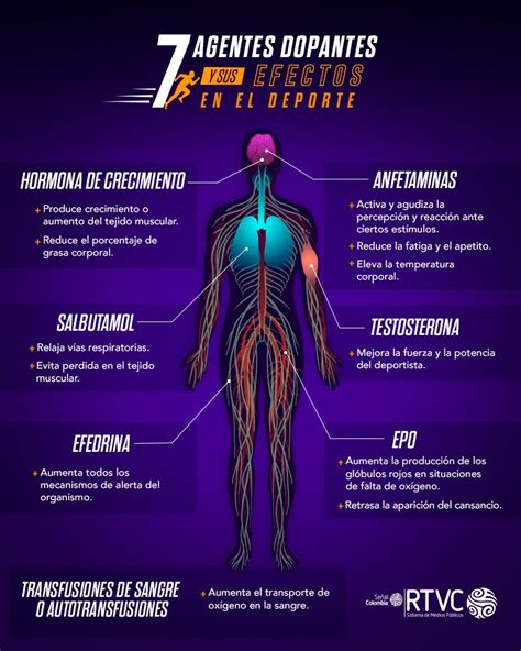 Efectos De Las Anfetaminas