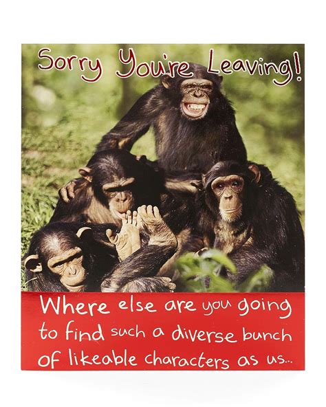 Sorry You Re Leaving Card Funny Goodbye Card Funny Ideal Leaving