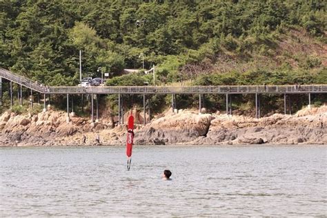 군산해경 민·관·군 합동 수난대비기본훈련 실시