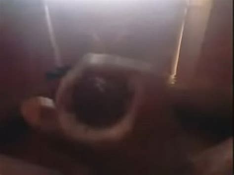 Indian Cobra XVIDEOS