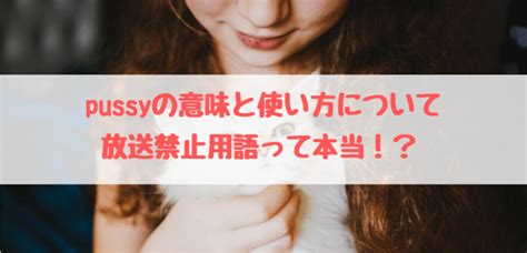 pussy プッシー の意味と使い方放送禁止用語のスラングって本当なの 英語サポート