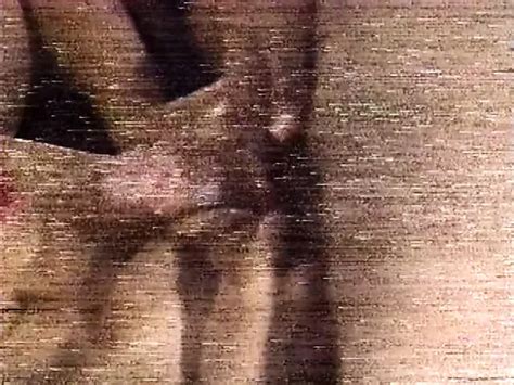 Bob Chinn Classics Retro Eating Pussy Porn XHamster