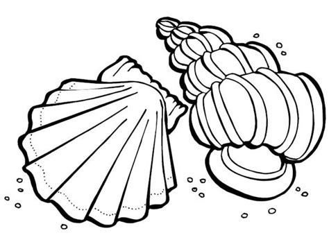 Clam Coloring Page At Getdrawings Free Download