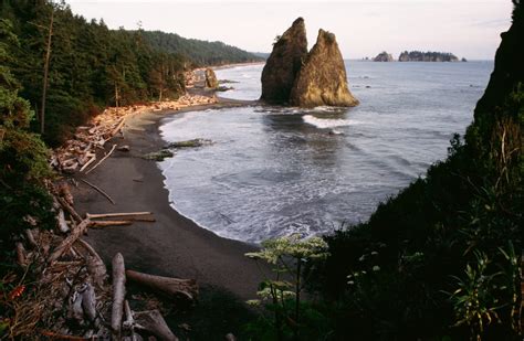 Olympic National Park | The Olympic Peninsula, WA