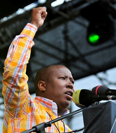 price  investigating julius malema face  malawi