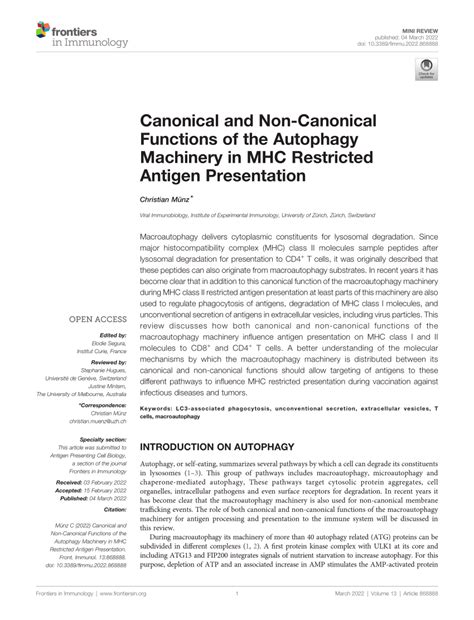 Pdf Canonical And Non Canonical Functions Of The Autophagy Machinery