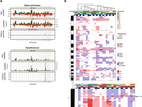 Gene Copy Number Alterations In Her2 Positive And Her2 Negative