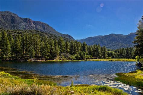 Pine Valley Recreation Area Campgrounds – Greater Zion Lodging