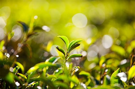 Infuse Infuse Added A New Photo