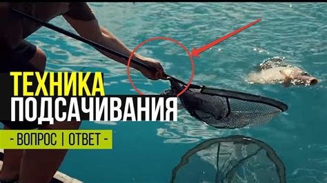 КАК ПРАВИЛЬНО ПОДСАЧИВАТЬ РЫБУ? СПОРТИВНАЯ ТЕХНИКА ПРОТИВ КЛАССИКИ ...