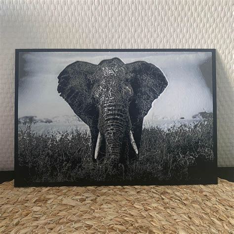 Hueforge African Elephantstl 3d Model By Arthena3d On Thangs