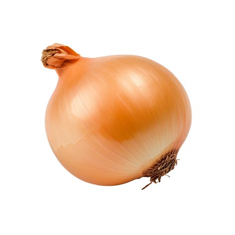 Onion Onion Png Transparent Background Ai Generated 27214971 Png