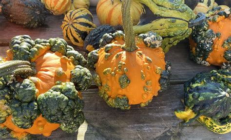 Gay October Alan Ilagan