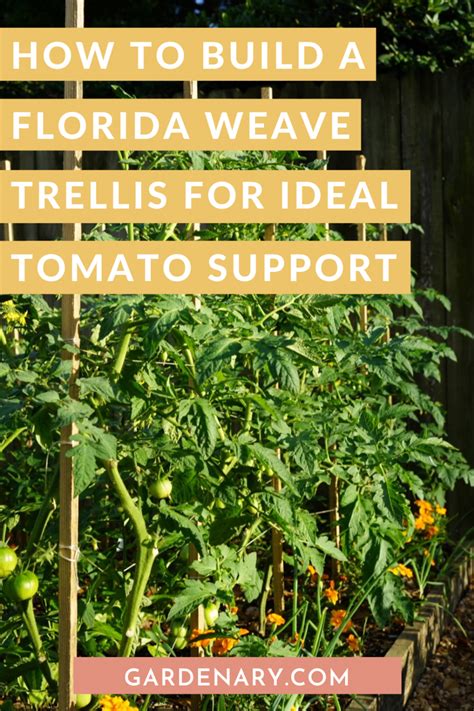 build  florida weave trellis  ideal tomato support gardenary