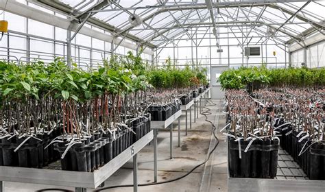 Wsda Dedicates New State Of The Art Greenhouse At Wsu Center Cahnrs