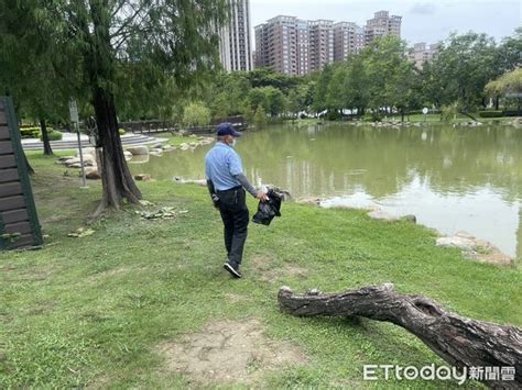 高雄凹子底公園驚傳「鱷魚出沒」 找到了！真相令人傻眼 Ettoday社會新聞 Ettoday新聞雲