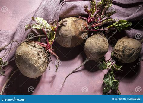 Purple Beetroot at the Table Stock Photo - Image of beet, diet: 257866312