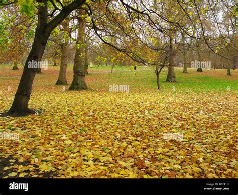 Autumn in Green Park, London Stock Photo - Alamy