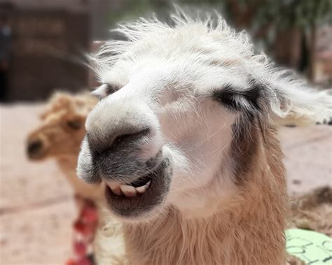 Naked Capitalism Finance Economics Politics Power