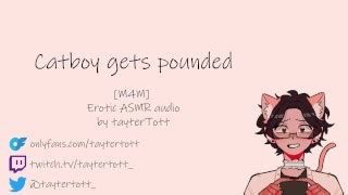 Catboy Gets Pounded M M Yaoi Hentai Erotic Asmr Audio Full Version Vidsterx