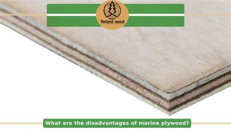 What Is Marine Grade Plywood? (Types and Size) - Finland Wood