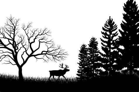 tall tree silhouette vector art icons  graphics