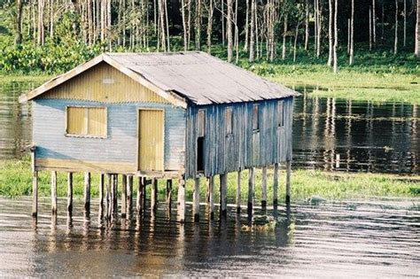 Casas Ribeirinhas Bonitas - casa ribeirinha da amazonia | Palafita, Casas brasileiras, Habitação