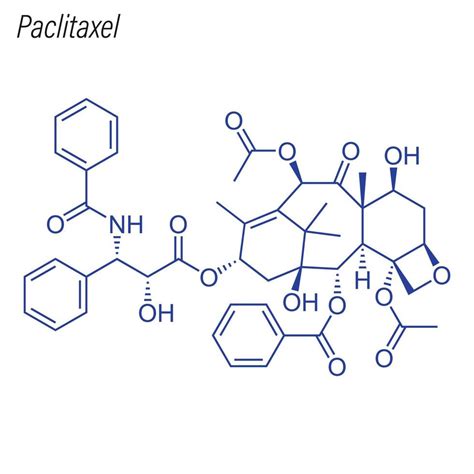 O Paclitaxel É Um Triterpeno Poli Hidroxilado - fórmula esquelética vectorial de paclitaxel. molécula química del ...