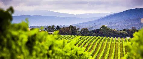 yarra valley wine region rochford wines