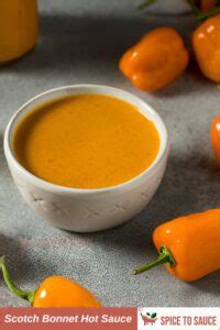 Scotch Bonnet Hot Sauce Recipe The Fiery Heart Of Caribbean Flavor