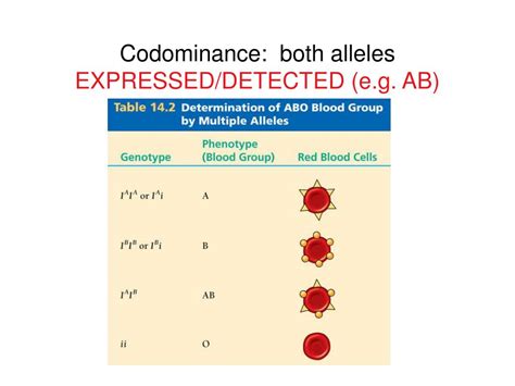Ppt Beyond Mendel Sex Linkage Human Genetics Powerpoint Presentation Id
