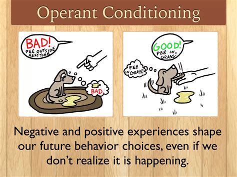 Operant Conditioning Answers 8