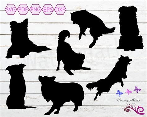 Border Collie Svg Clipart Jumping Dog Svg Dog Clipart Dog Etsy Canada