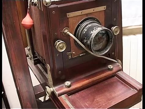 Transsexual Free Shemale Porn Video E Xhamster Xhamster