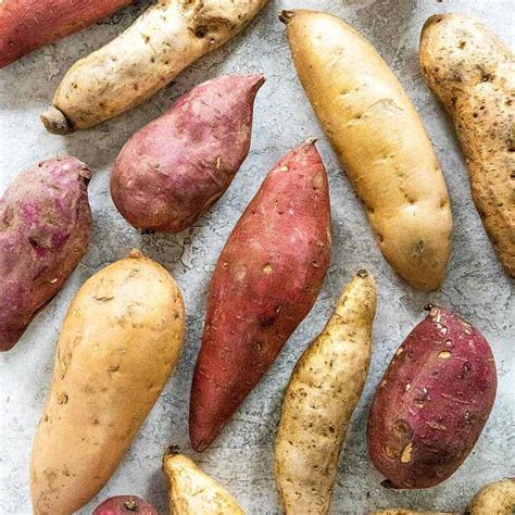 14 Types Of Sweet Potatoes Jessica Gavin