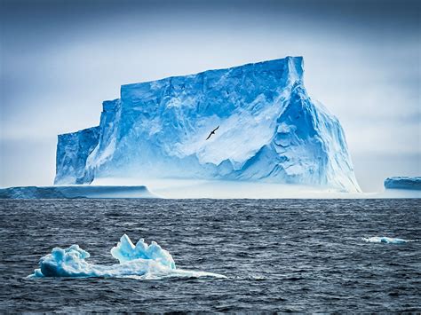 Revealed: how giant icebergs breathe life into remote oceans