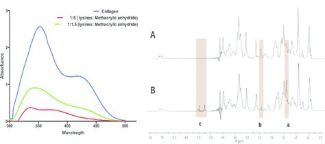 Characterization Of Functionalized Collagen Using UV Vis Spectroscopy