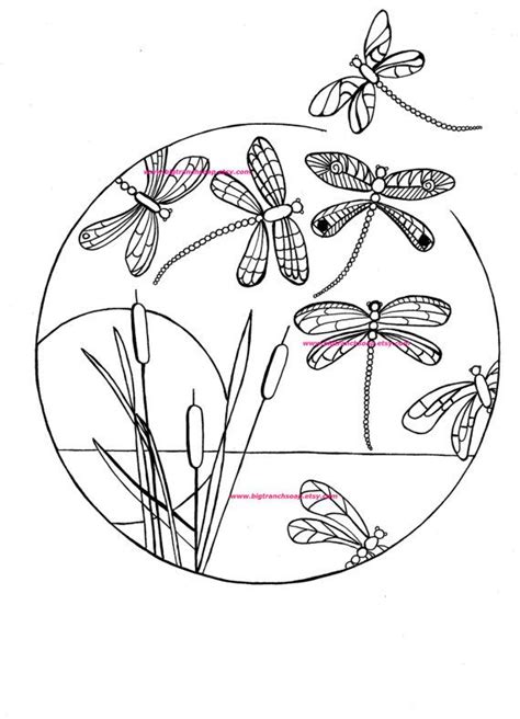 Intricate Dragonfly Coloring Pages Coloring Pages