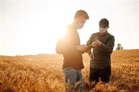 Agricultor Em M Scara M Dica Est Ril No Campo De Trigo Dourado Um