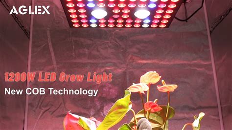 Aglex Led Cob Buy Led Cob