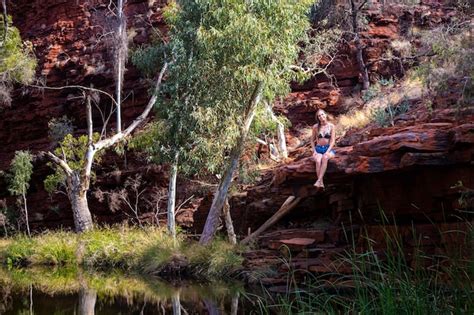 Premium Photo A Jungle Girl In A Bikini Sits On Rocks By A Stream In A Canyon In Karijini