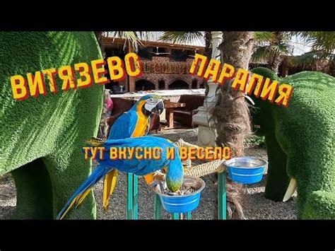 Навигатор по Паралии. Витязево (Анапа). Что? Где? Сколько ? - YouTube