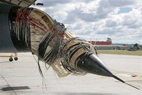 F-111 — один из самых удачных в своём классе