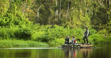 mejores destinos en la selva de peru andino peru tours