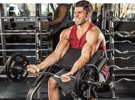 Curl Predicador Barra Z Fitness Guia Fitness Guiaes