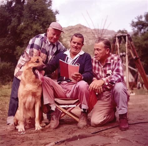 Rin Tin Dog 10