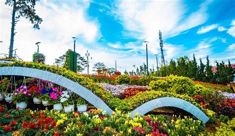 Da Lat Flower Festival - Vietnam Travel Online